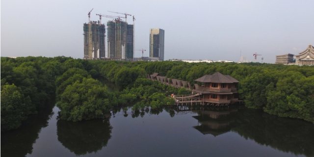 2 Tempat Wisata Alam Di Jakarta Yang Wajib Dikunjungi